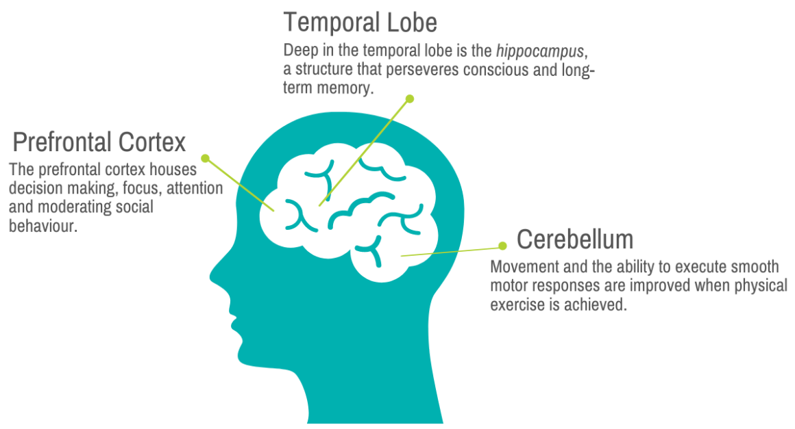 How Physical Activity Improves Mental Health - Canadian Mental Health ...