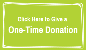 one time donation button